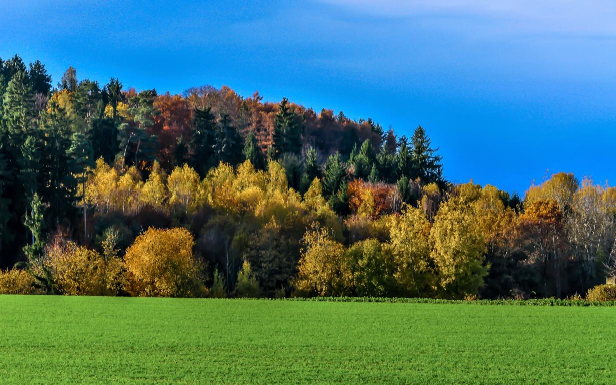 Farben des Herbstes