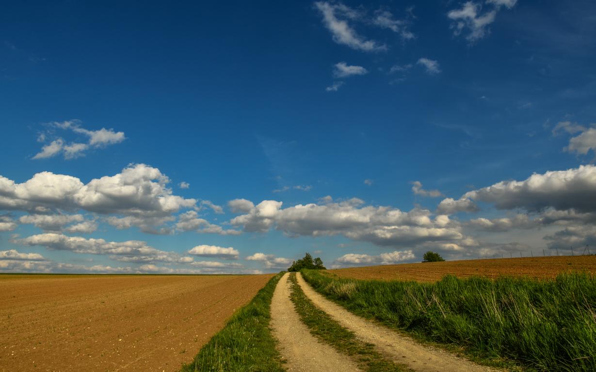 Feldweg