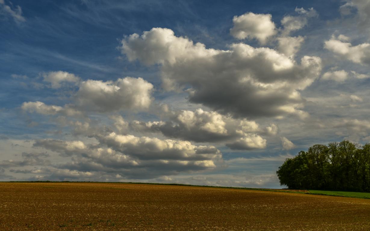 Wolken