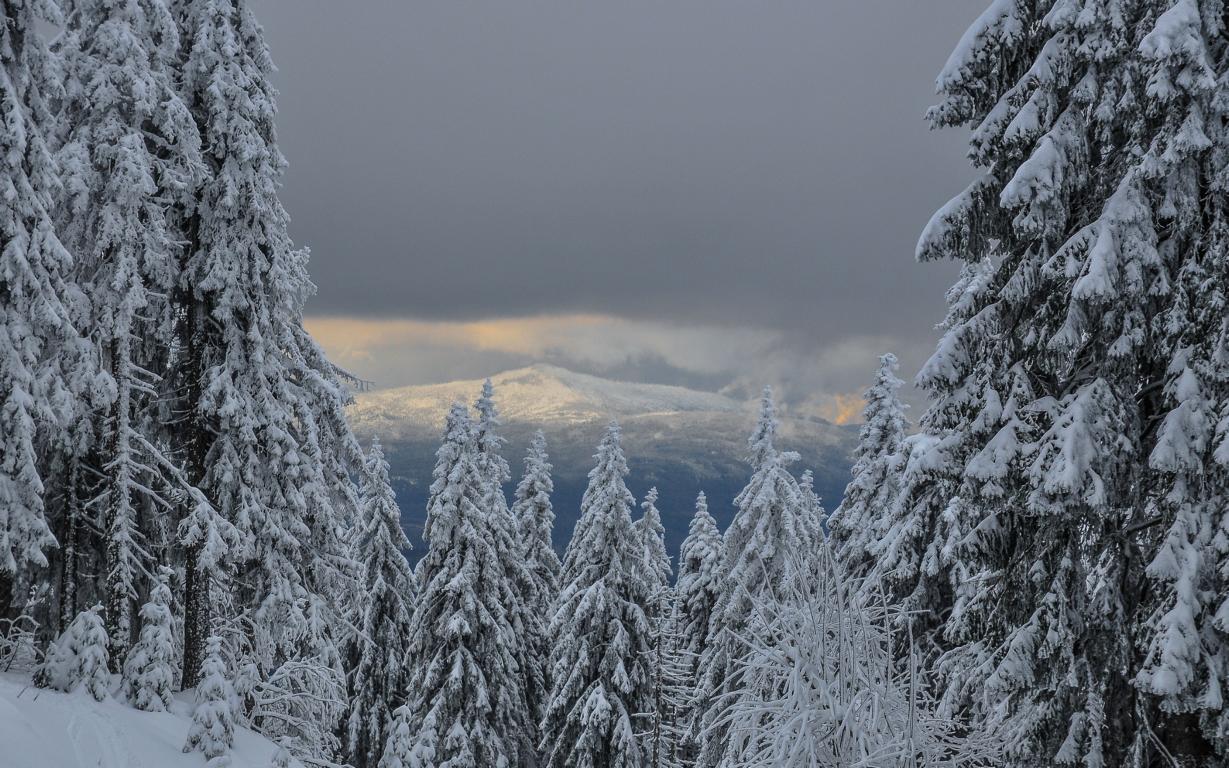 Winterliche Berglandschaft