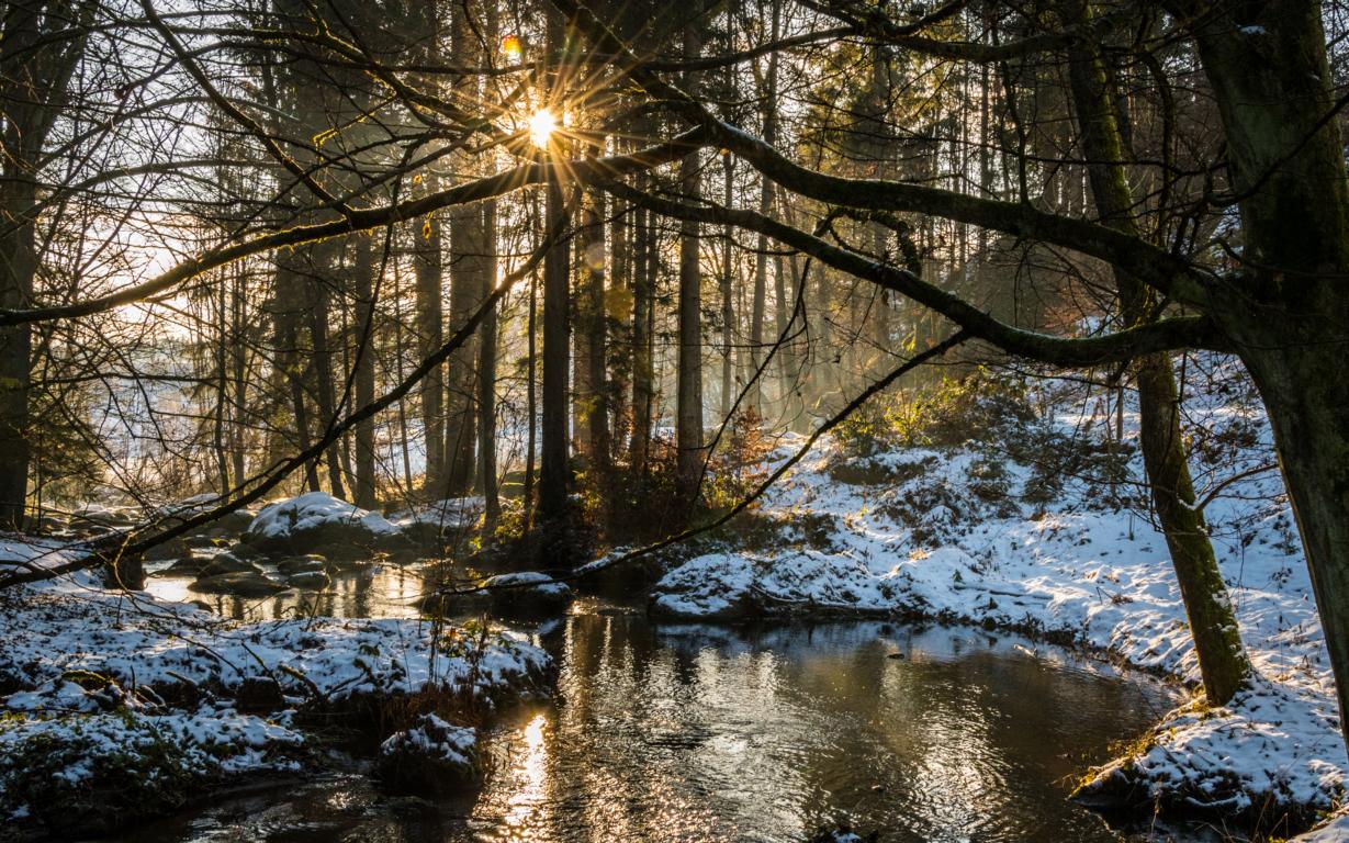 Höllbachtal im Bayerischen